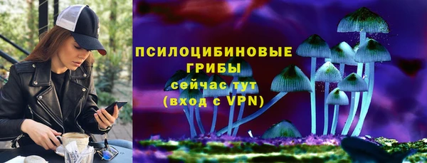 амф Алексеевка