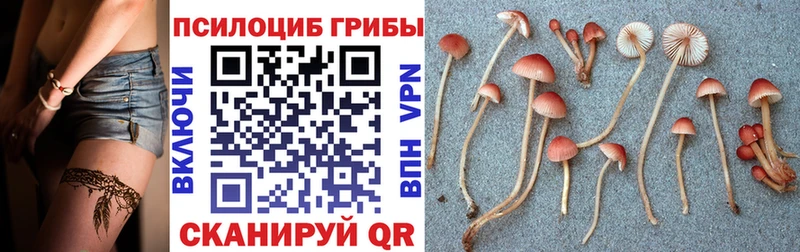 Галлюциногенные грибы GOLDEN TEACHER  Купить  Ейск 